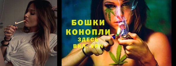 спиды Белокуриха