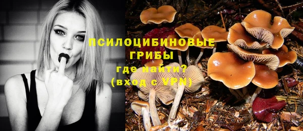 спиды Белокуриха