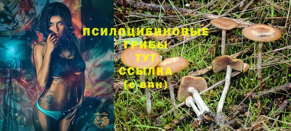 соль ск Белоозёрский